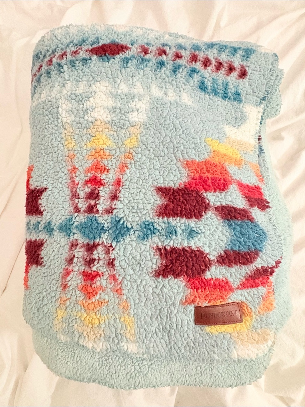 Pendleton Twin Size Sherpa Blanket Legend Lake Aqua Pattern Southwest Geometric